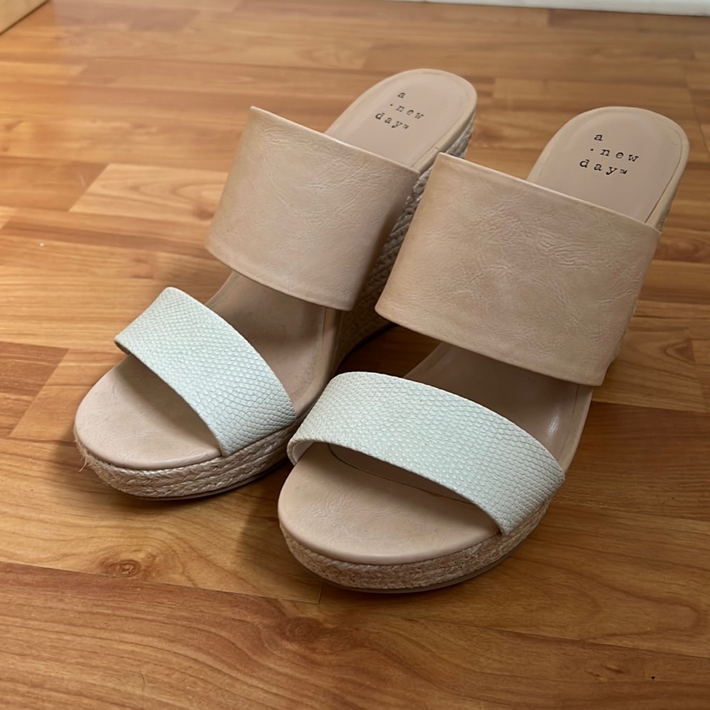 Wedge Sandals (A New Day)